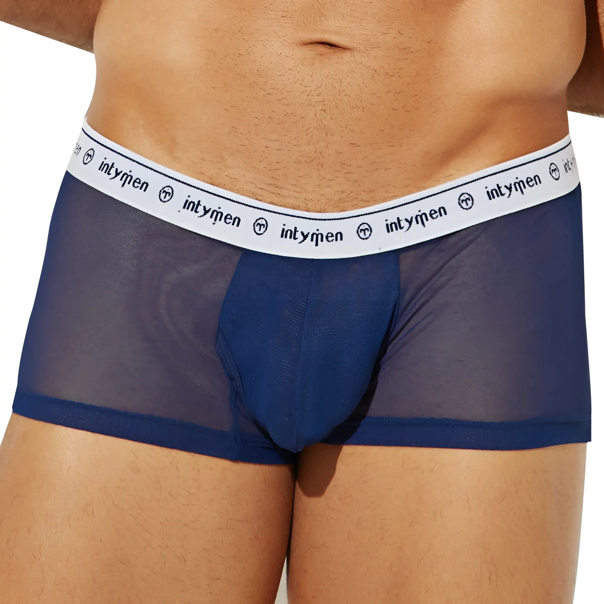Blue sheer mesh briefs with white elastic waistband featuring intymen logo and circular emblem in ing085 boxer trunk style