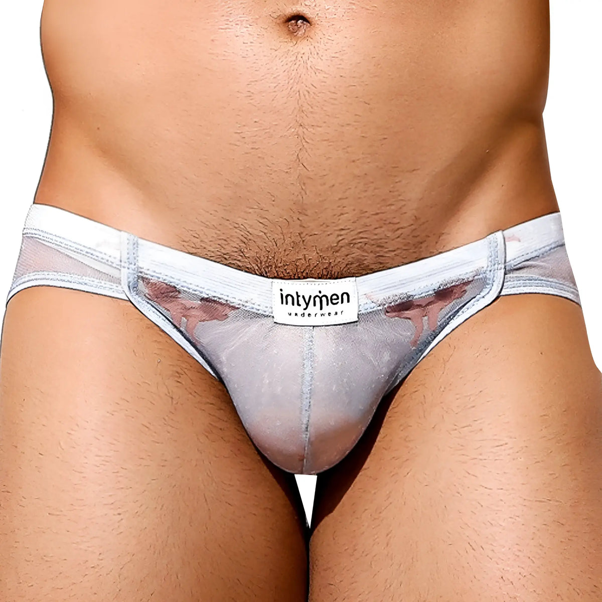 Intymen INJ073 brief transparent gray mesh with white waistband and subtle pinkish red patterned accents