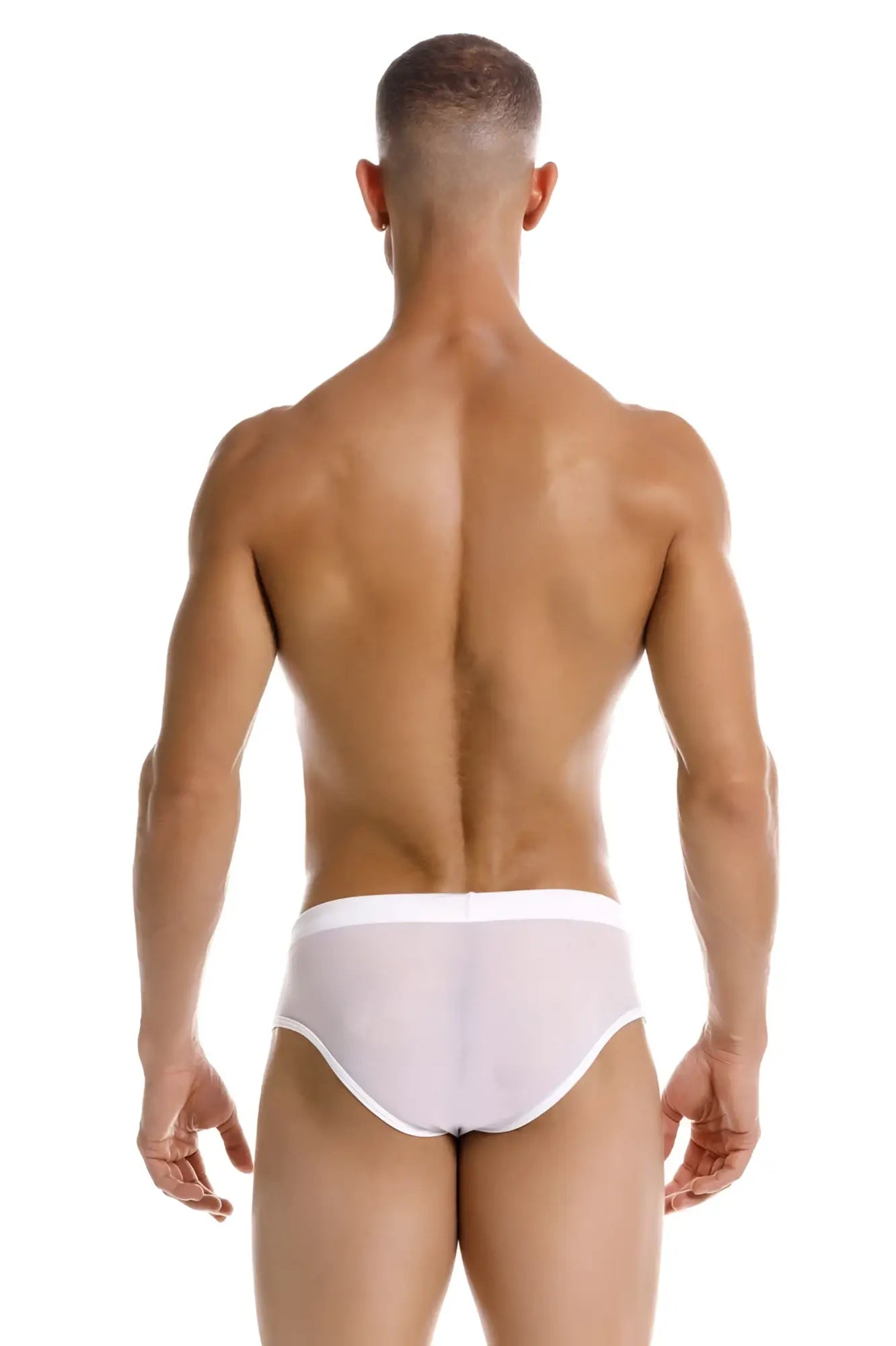 White sheer jor 2193 mystic swim briefs with solid white waistband designed for swimwear use