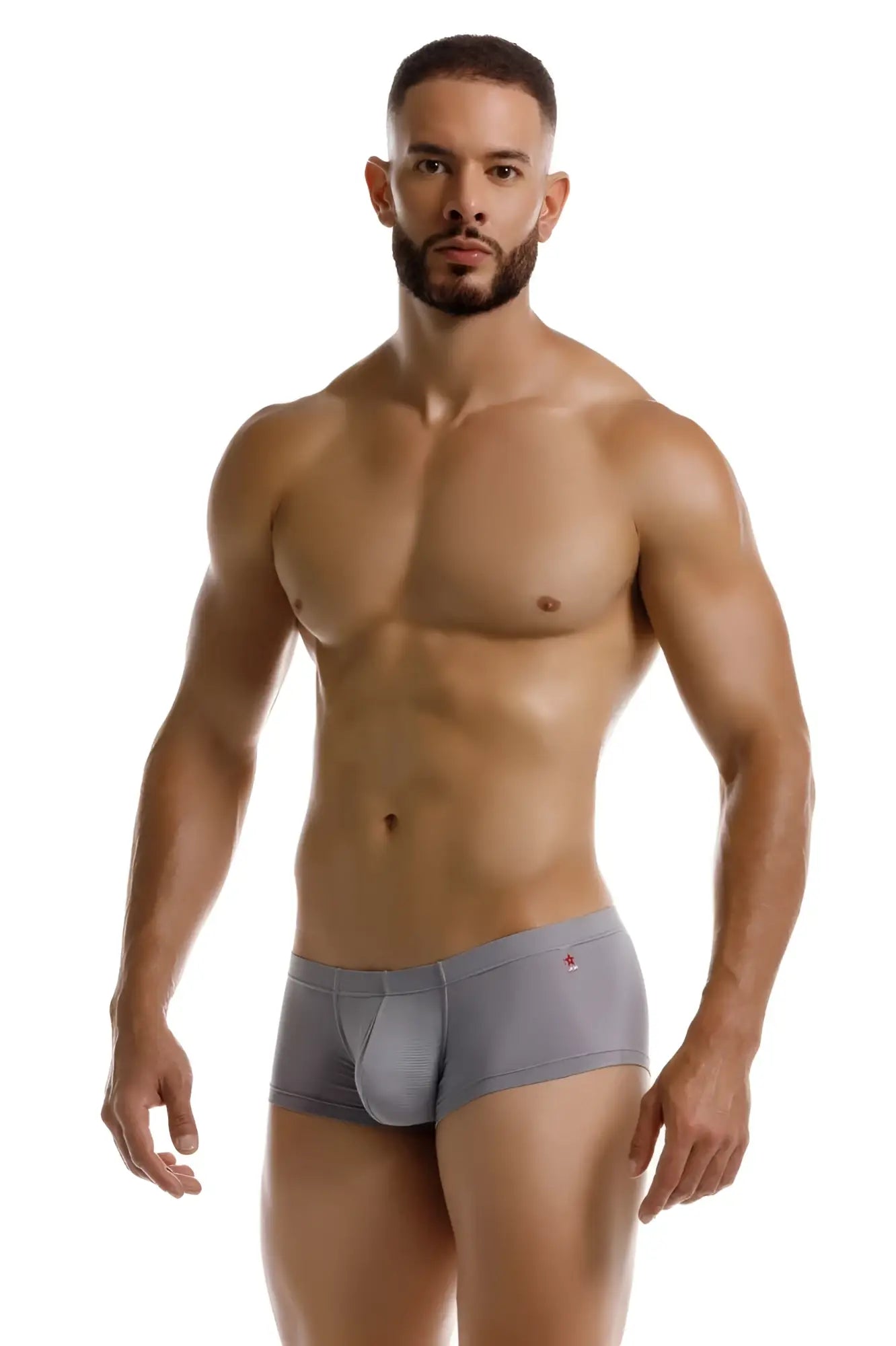 Gray jor 2246 cosmo trunks men’s briefs with subtle red logo on waistband for comfortable everyday wear