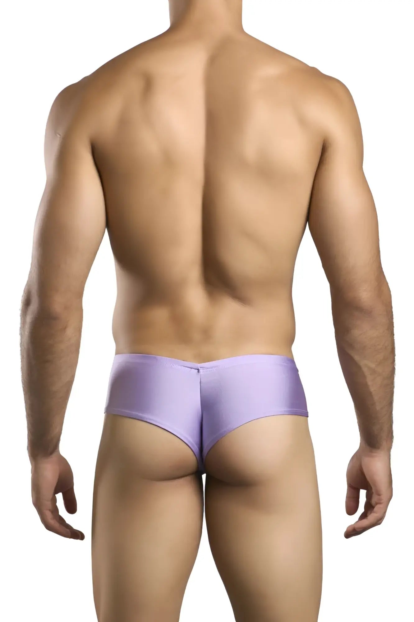Lavender satin cheek briefs in lilac from justin simon xsj22 featuring soft smooth fabric and cheeky coverage