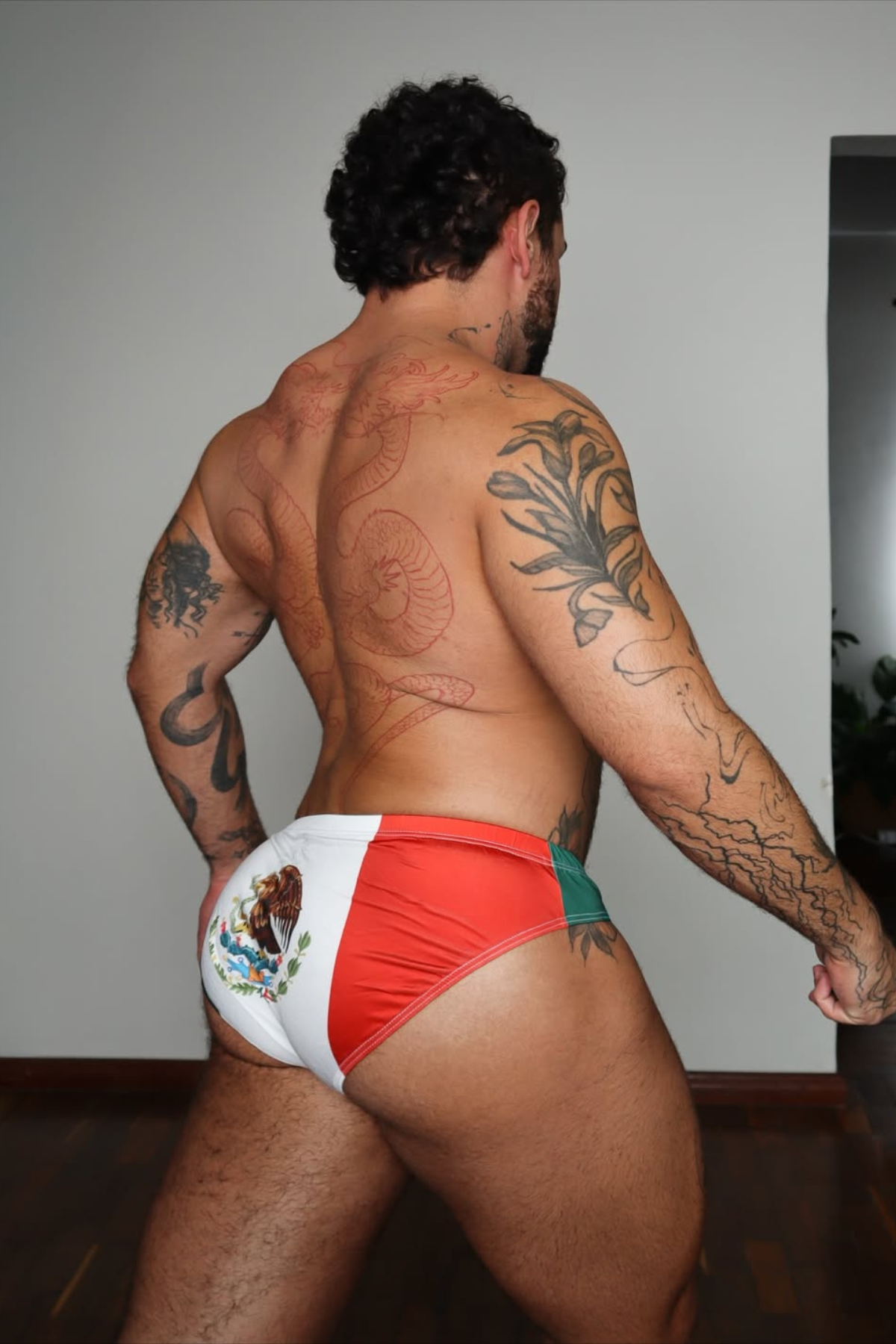 JJ Malibu Men's Lovesick Briefs - Mexican Flag