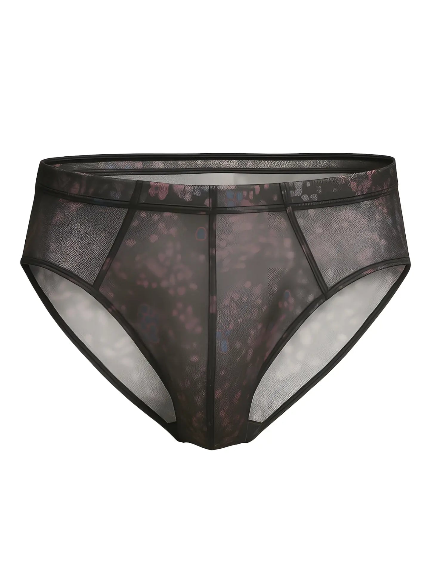 Luxury lace brief black sheer mesh briefs with subtle floral pattern and reinforced seams shown from the back side