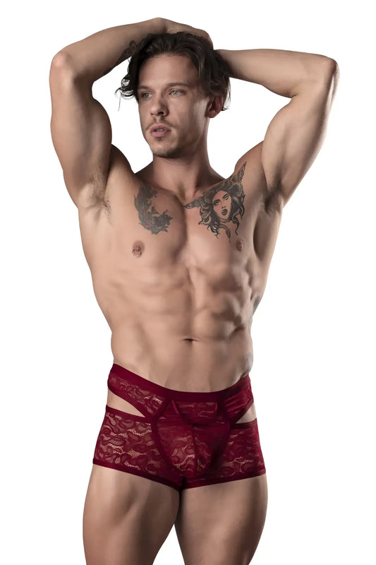 Male power 126-289 lucifer burgundy red lace briefs with cut out design for men