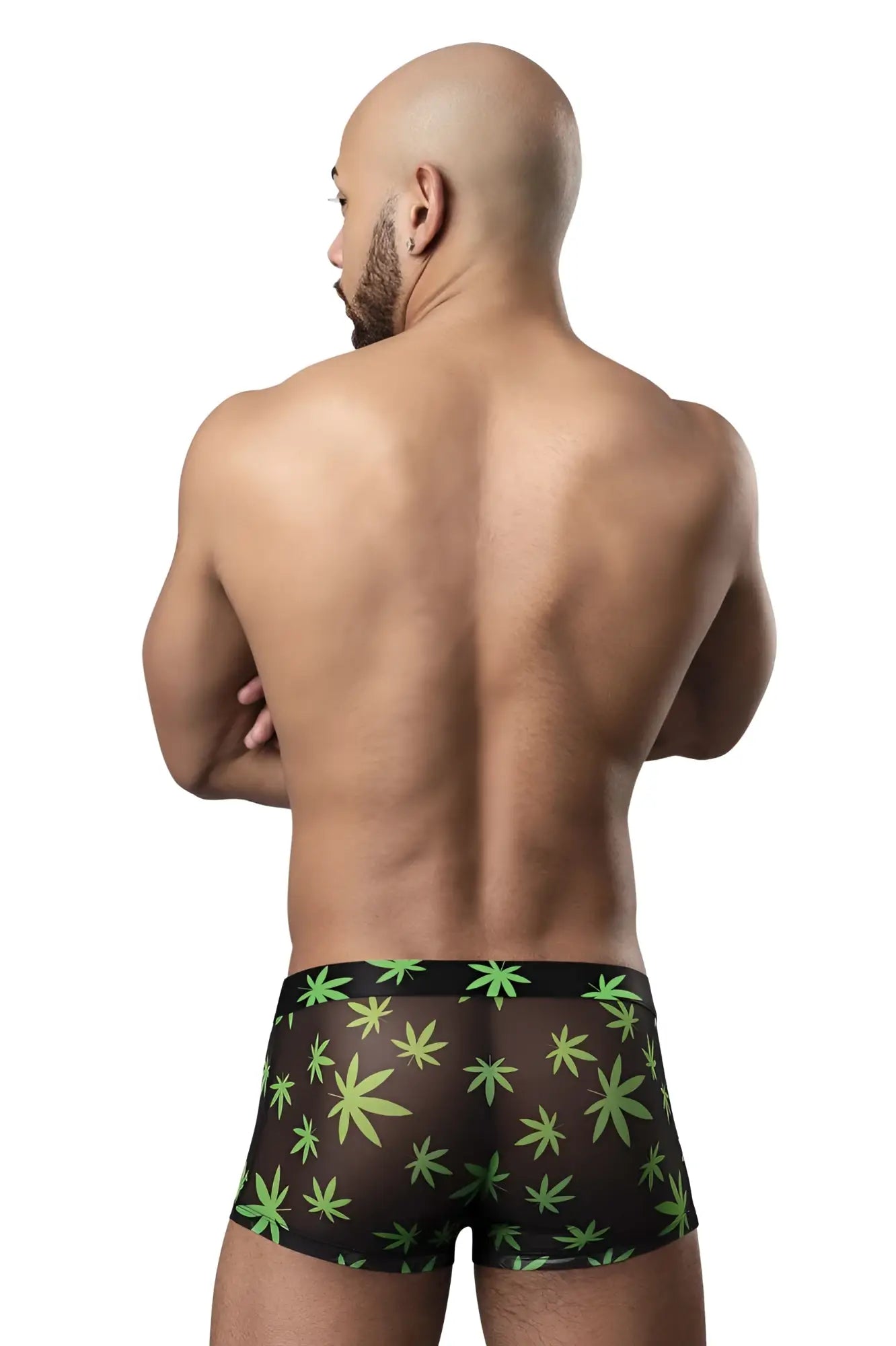 Black sheer boxer briefs male power 145-294 hazy dayz pouch short with vibrant green cannabis leaf pattern