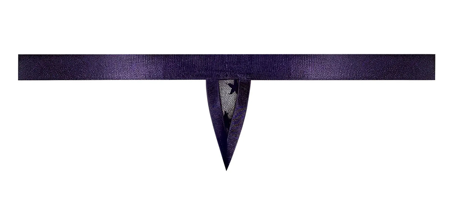 Male power 416-291 love star thong in deep purple satin with delicate lace trim and ring detail
