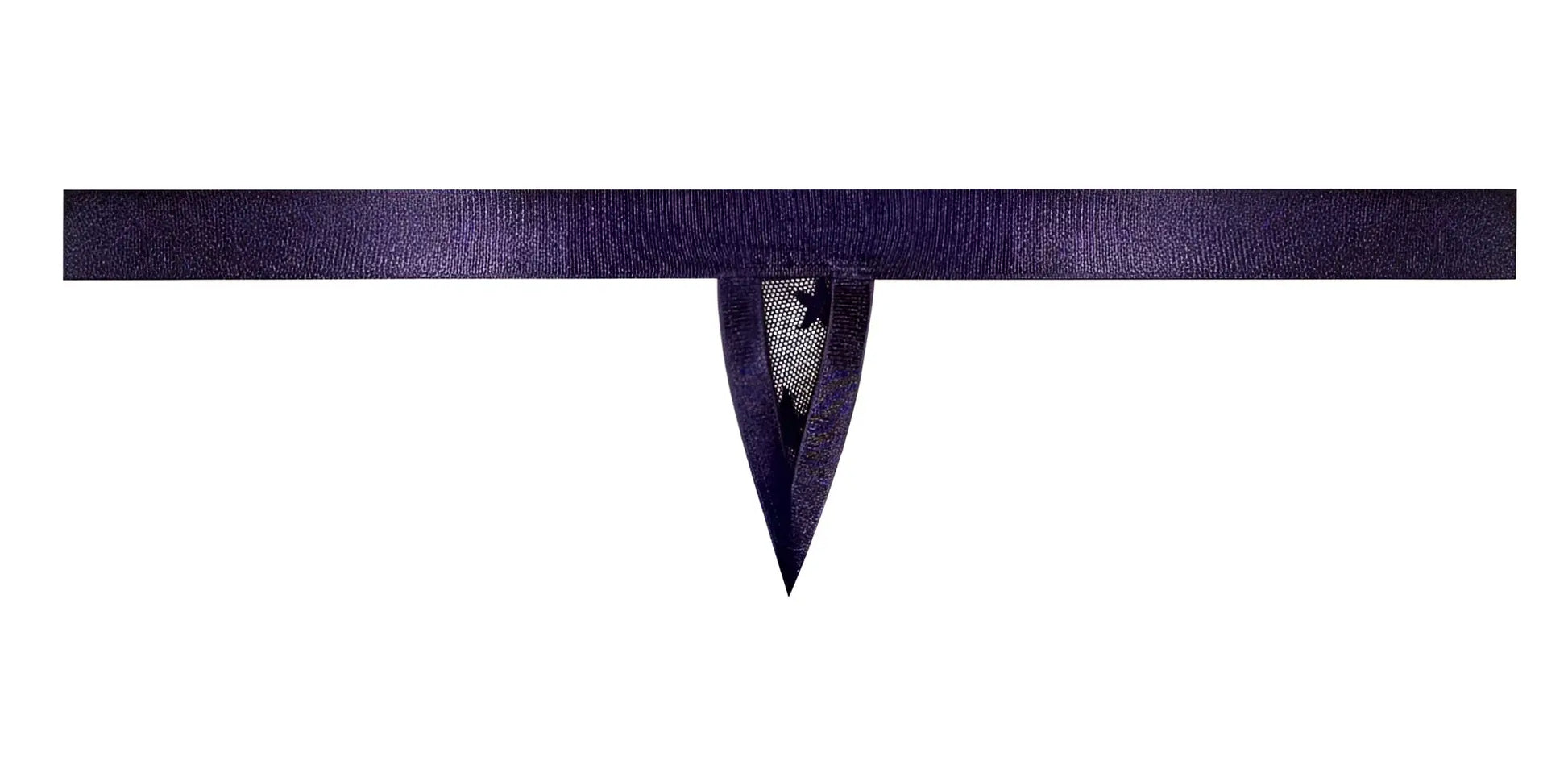 Male power 416-291 love star thong in deep purple satin with delicate lace trim and ring detail