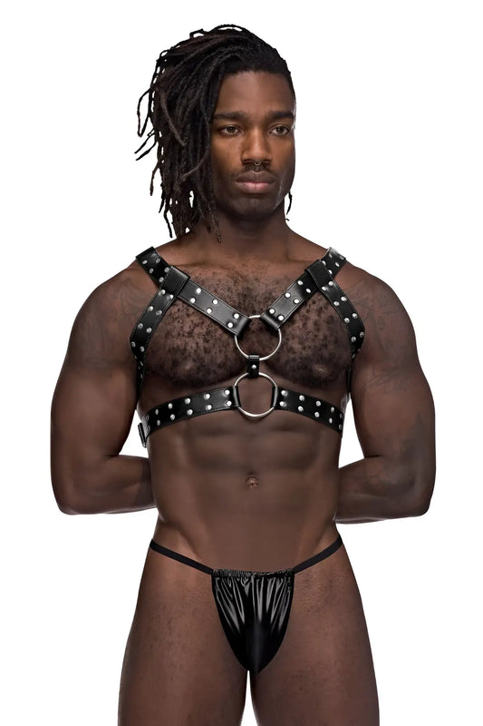 Male power 591-266 leather gemini harness in black featuring silver studs and metal rings on black leather straps