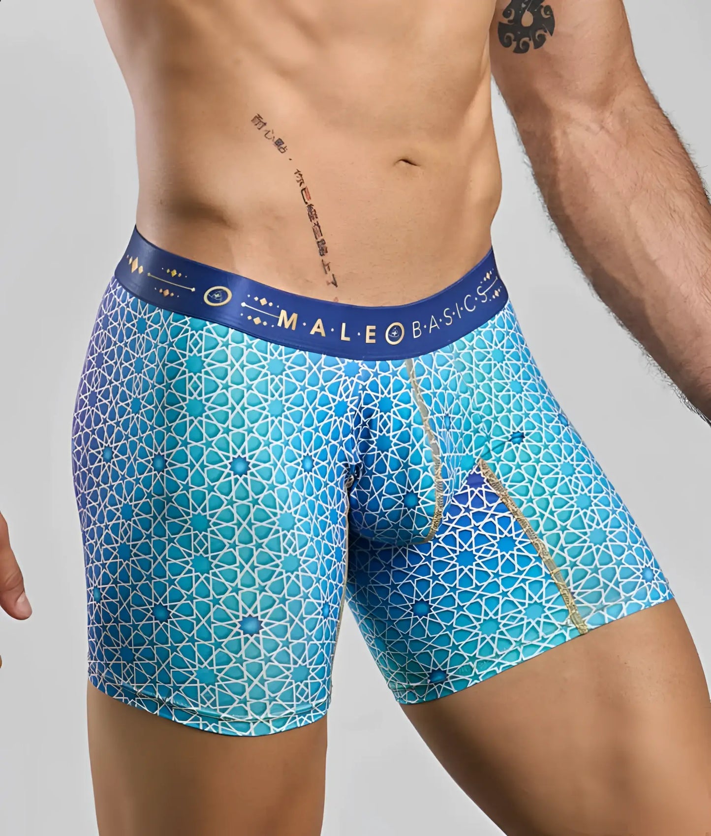 MaleBasics boxer brief hipster in blue with geometric white lines and m-a-l-e o b.a.s.i.c. waistband branding