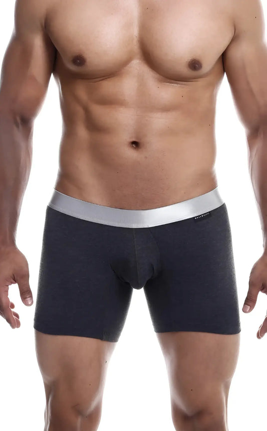 Dark gray MaleBasics boxer briefs with silver waistband made from soft pima cotton for comfortable everyday wear