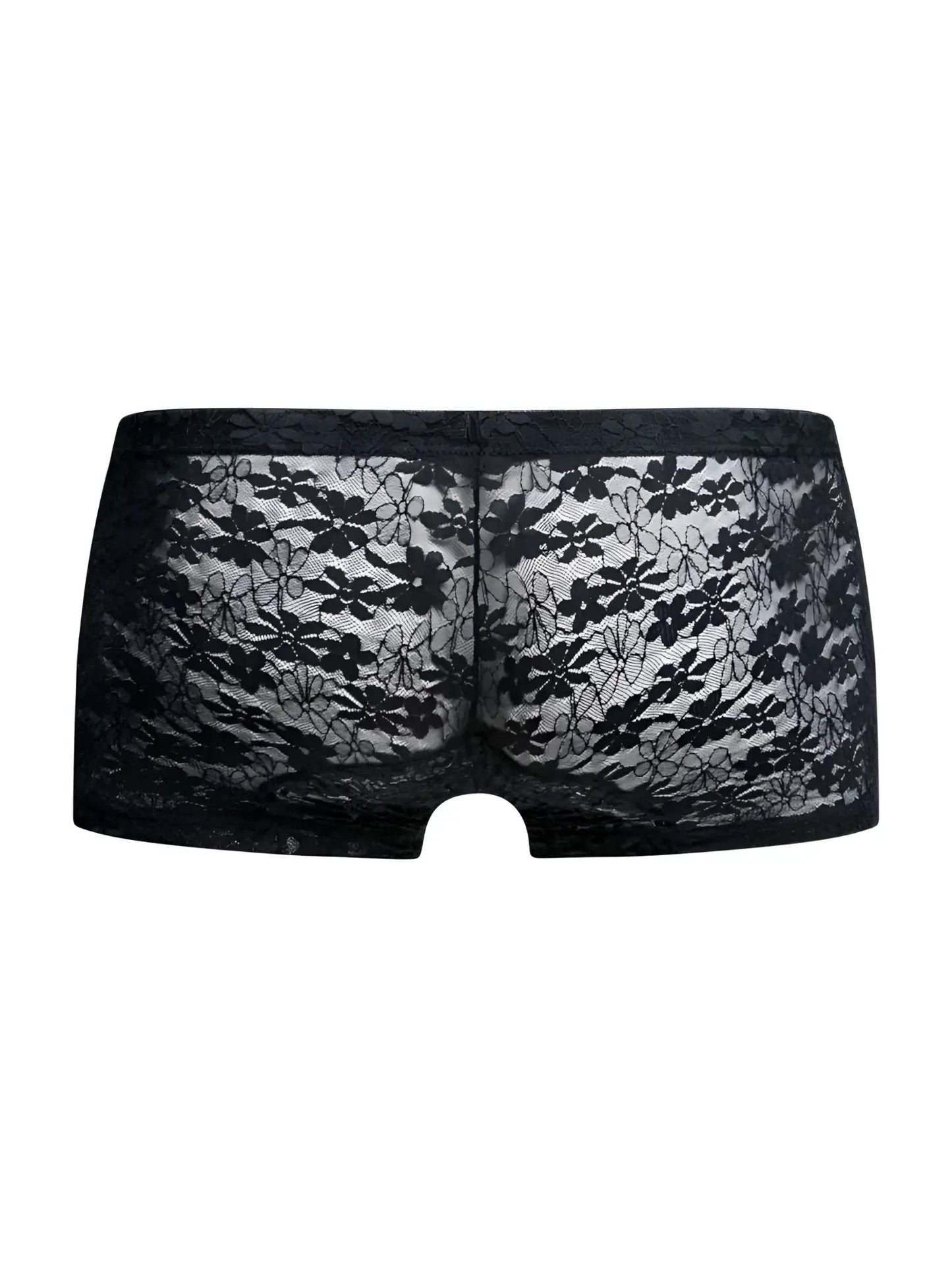 MaleBasics MBL78 black lace trunks featuring sheer floral lace with a delicate design for men