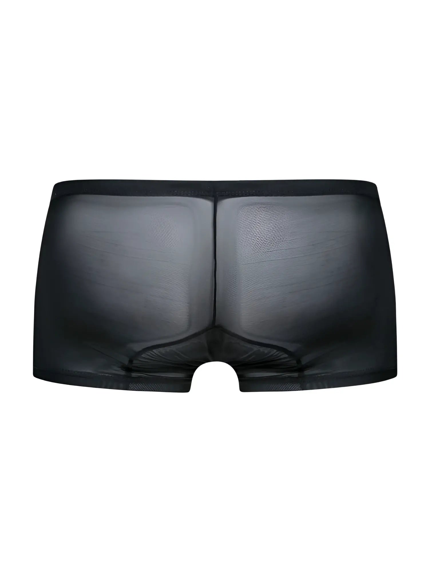 Black sheer mesh male basics mbl78 lace trunks featuring a smooth form-fitting design in black mesh material