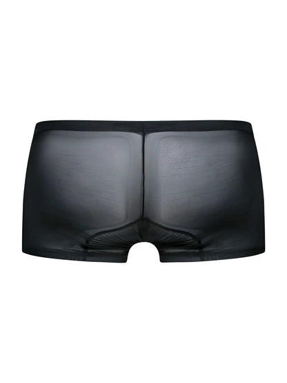 Black sheer mesh male basics mbl78 lace trunks featuring a smooth form-fitting design in black mesh material