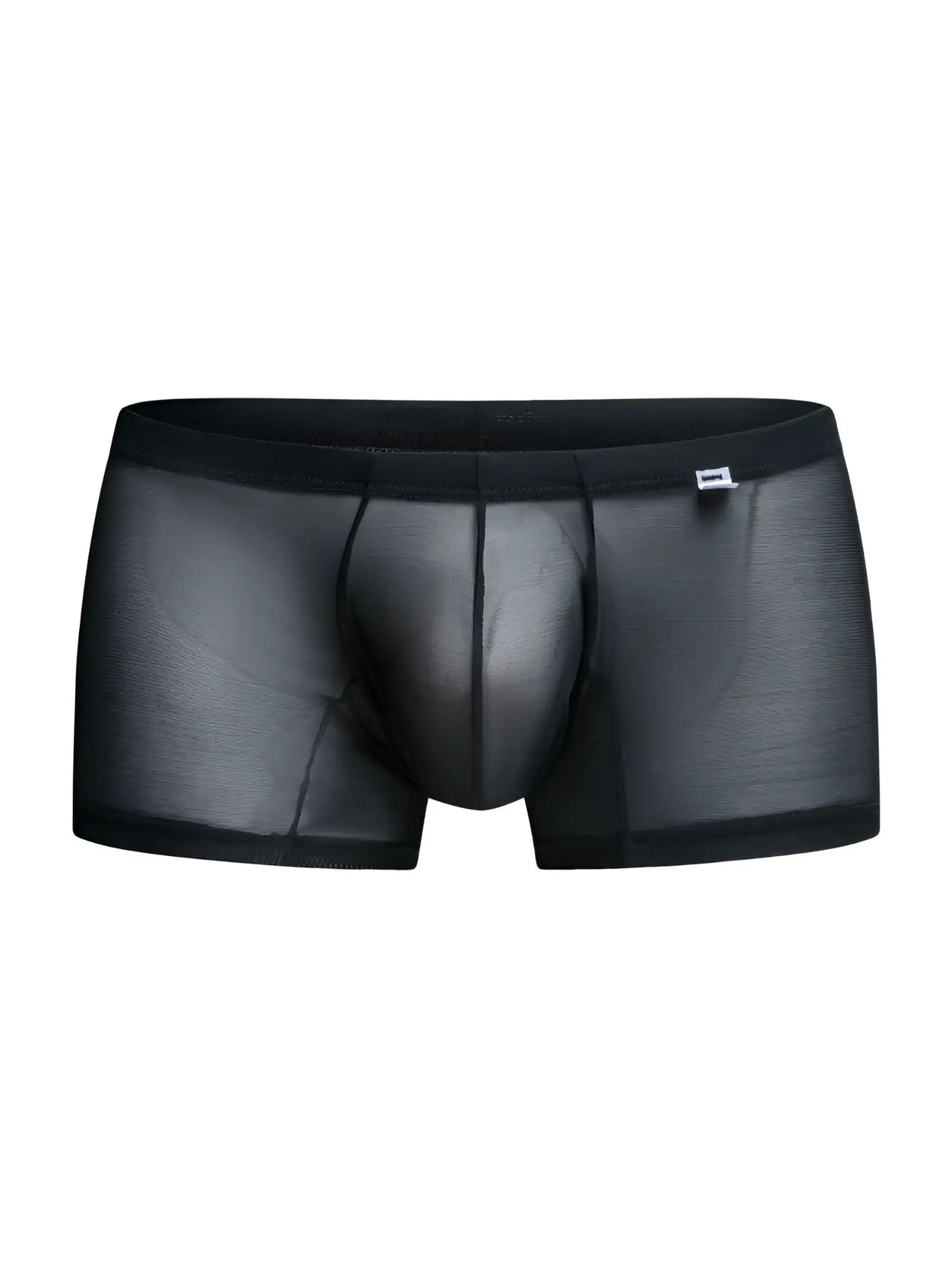 Malebasics mbl78 lace trunks black mesh sheer briefs with solid waistband and reinforced seams side view