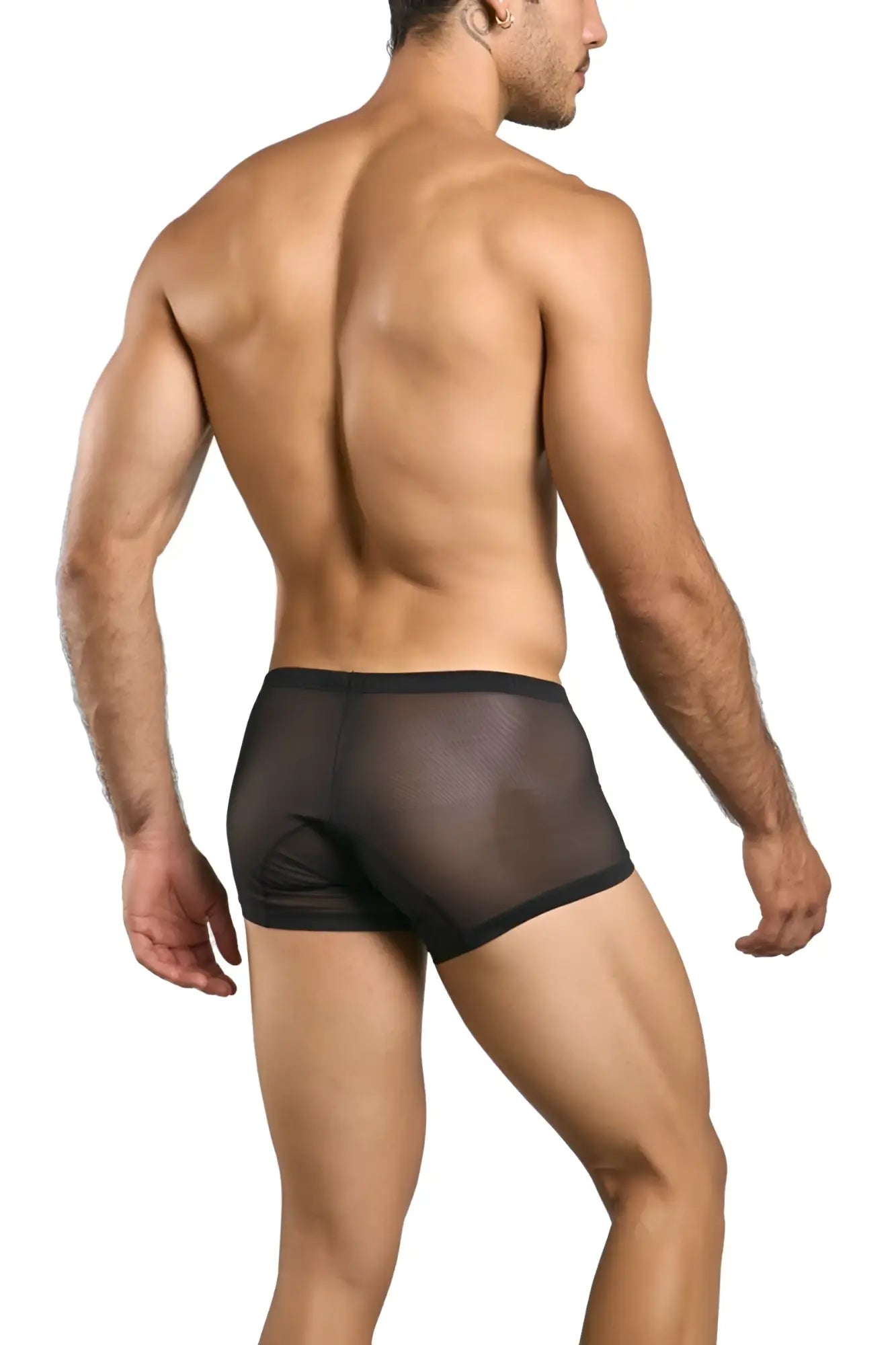 Black sheer mesh briefs with solid black waistband from malebasics mbl78 lace trunks color black mesh front view