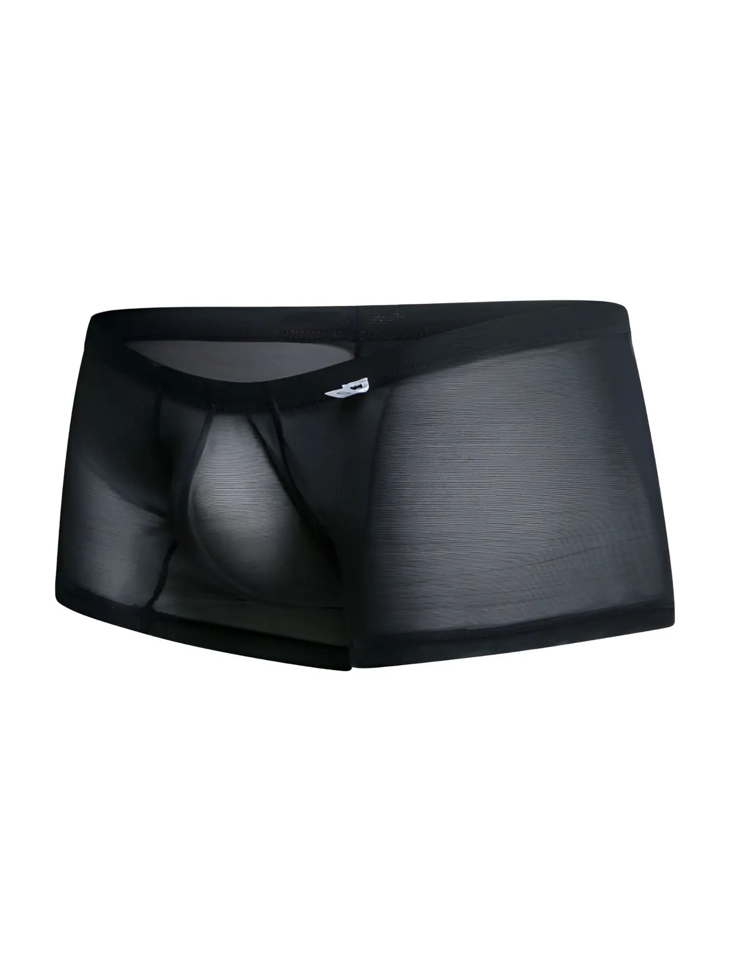 Malebasics mbl78 lace trunks black mesh briefs with sheer fabric solid waistband and subtle side branding