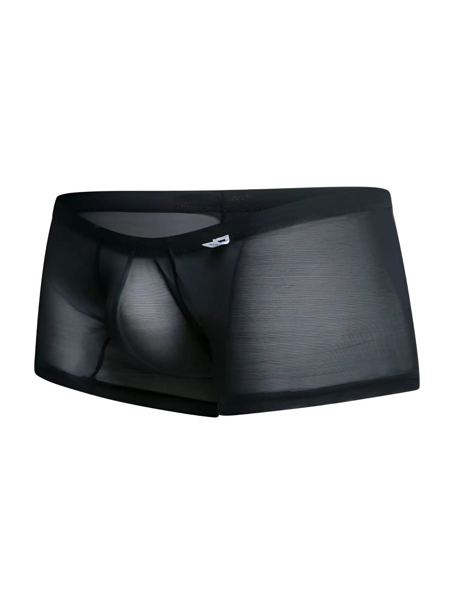 Malebasics mbl78 lace trunks black mesh briefs with sheer fabric solid waistband and subtle side branding