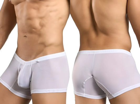 Malebasics mbl78 lace trunks white mesh men’s briefs with sheer fabric and solid white waistband and trim