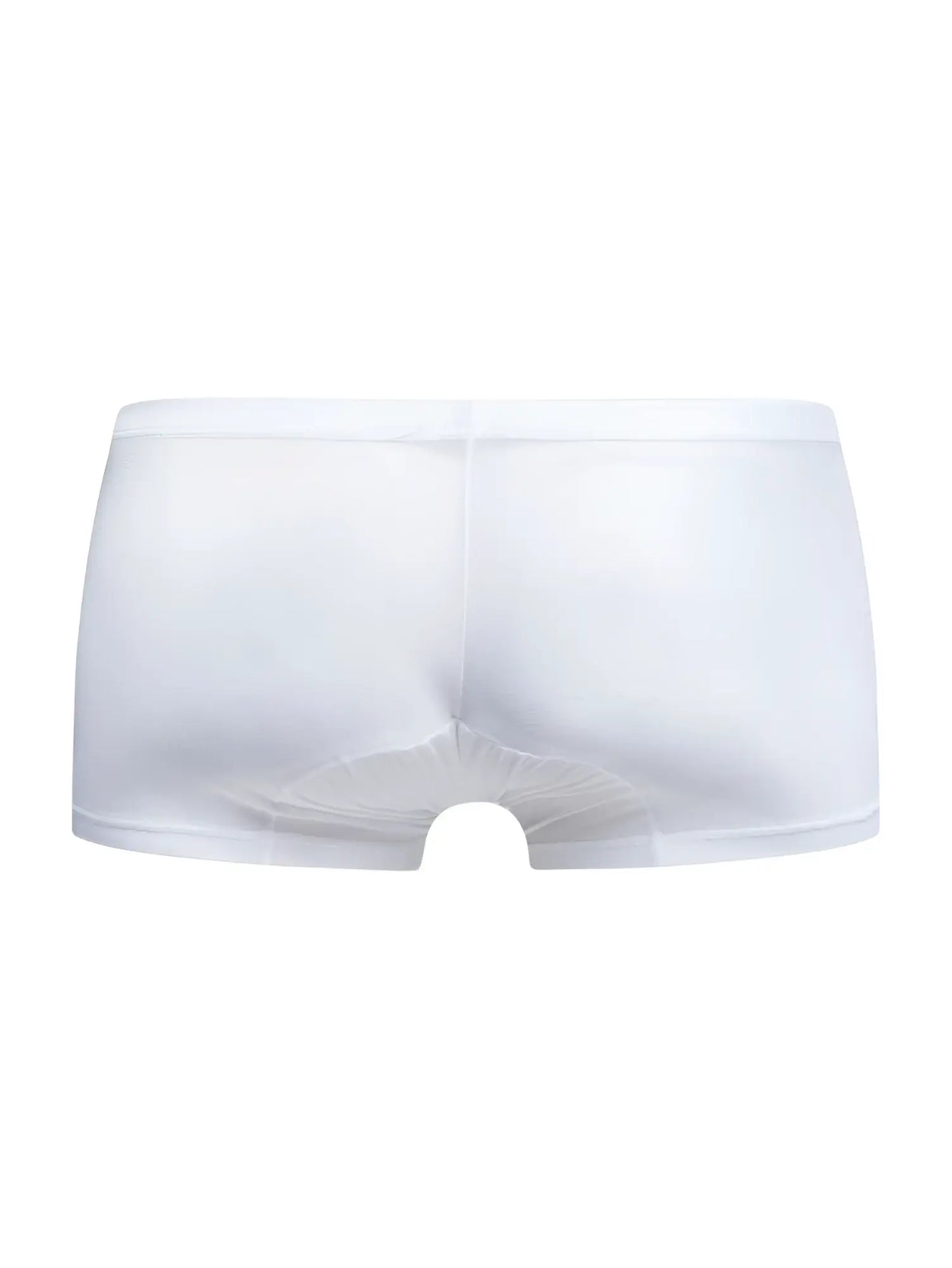 Malebasics mbl78 lace trunks in white sheer mesh briefs with a smooth elastic waistband front view