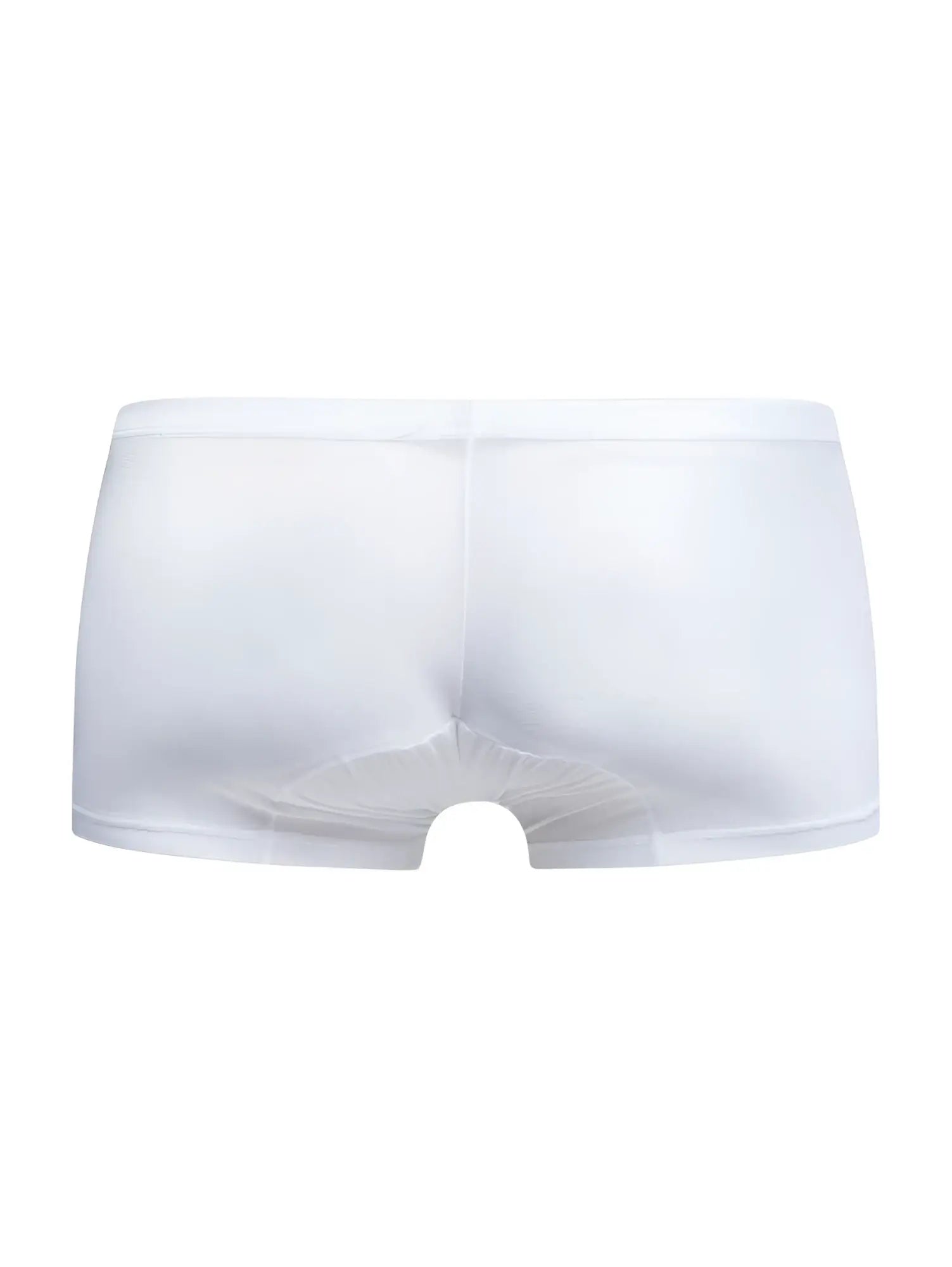 Malebasics mbl78 lace trunks in white sheer mesh briefs with a smooth elastic waistband front view