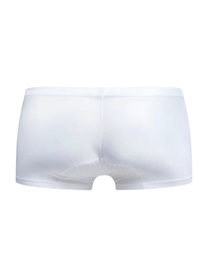 Malebasics mbl78 lace trunks in white sheer mesh briefs with a smooth elastic waistband front view