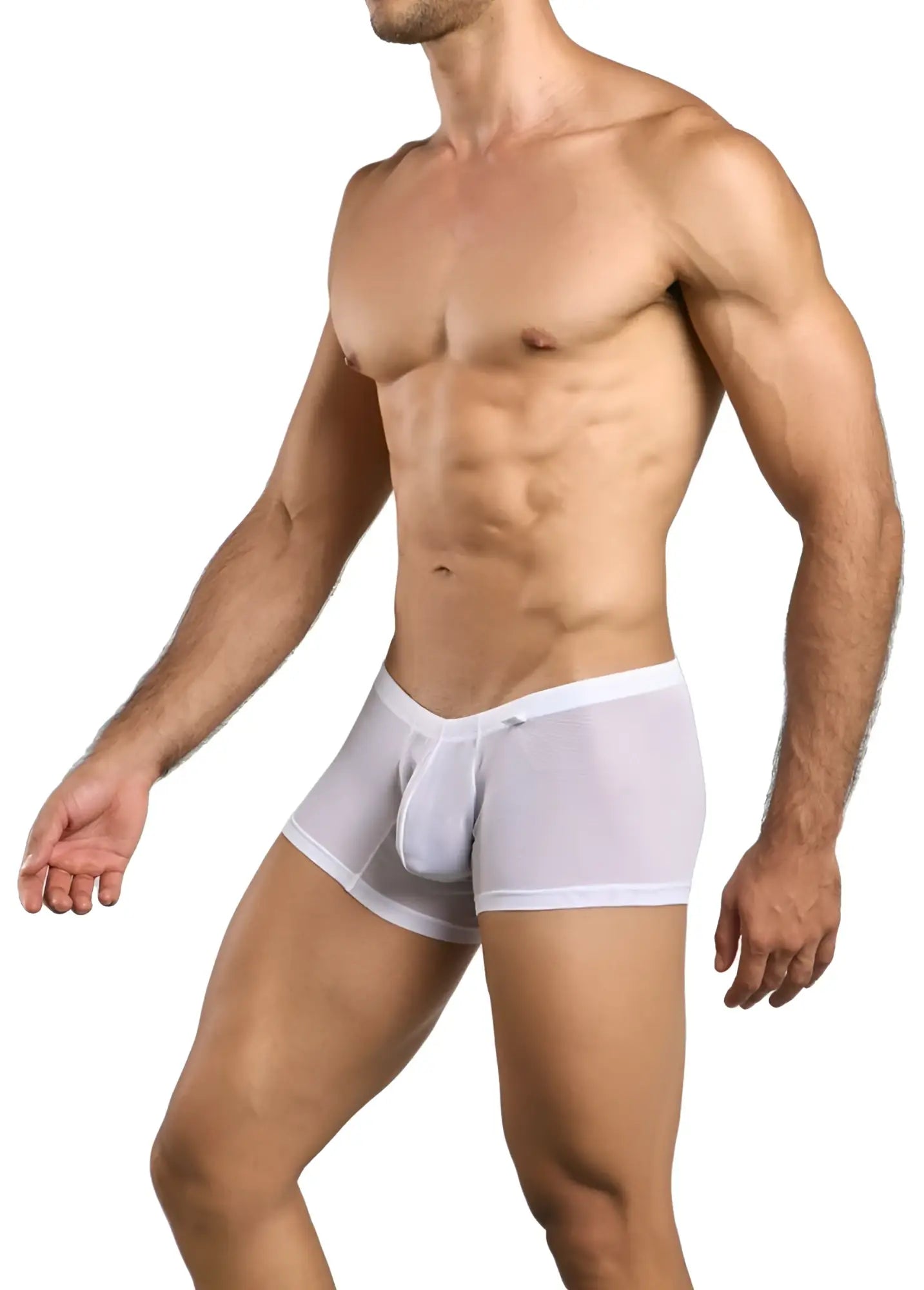 Malebasics mbl78 lace trunks in white sheer mesh briefs with a solid white waistband for men