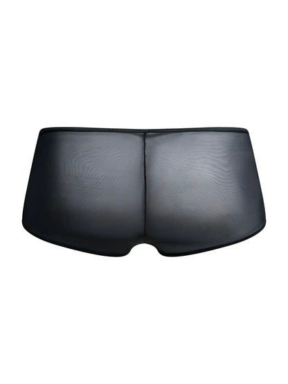 Malebasics mbl83 loop cheeky trunks black sheer mesh briefs with smooth textured front and central seam