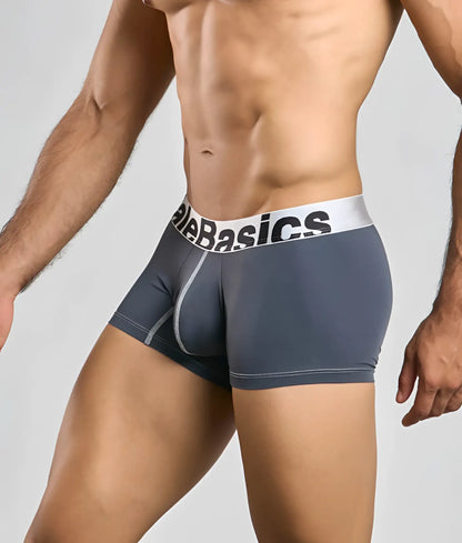 Gray microfiber men’s boxer briefs with white elastic waistband and black alebasics branding from malebasics