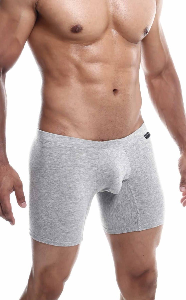MaleBasics Silver + Boxer Brief 3 Pack