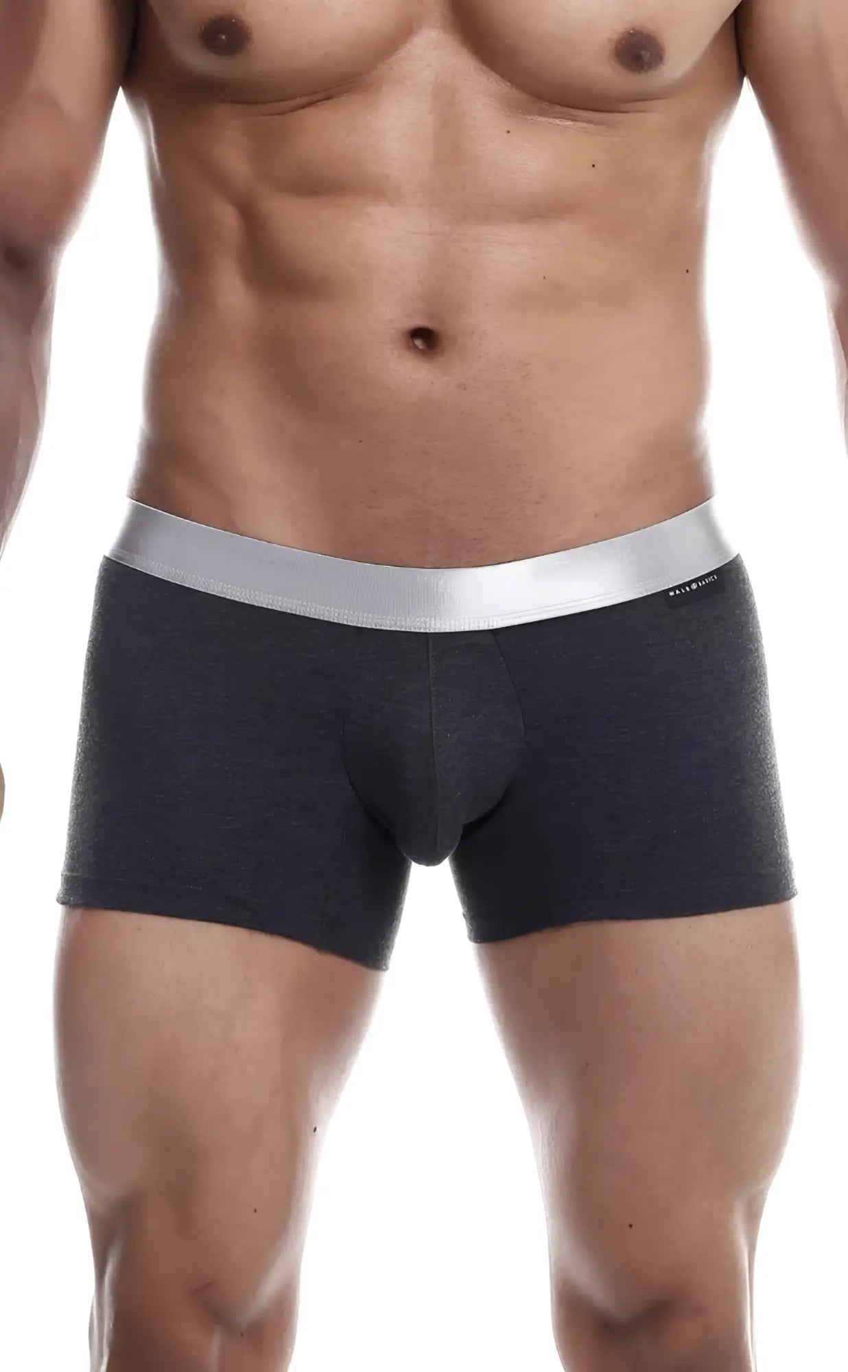 Dark gray textured male basics trunk pima boxer briefs with sleek silver waistband made from pima cotton