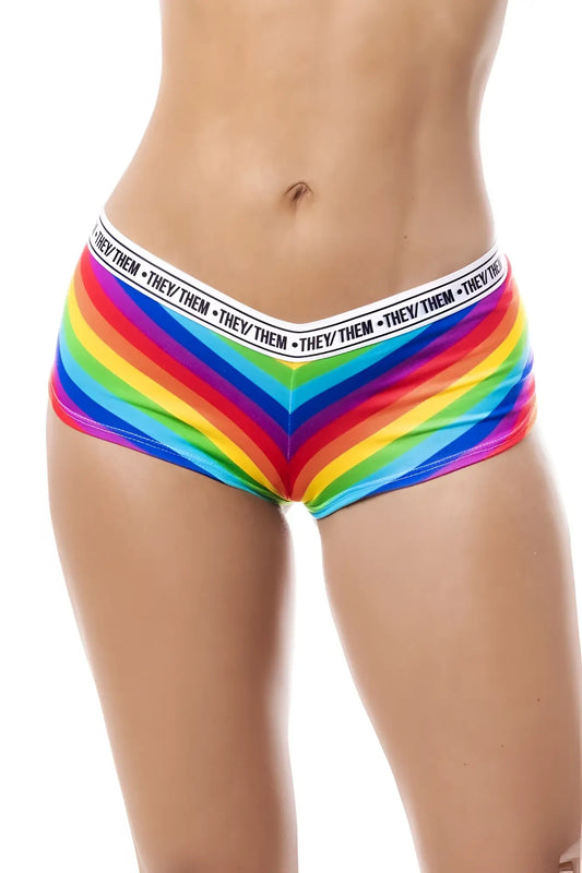 Rainbow-striped high-waisted briefs with white elastic waistband featuring they them text by mapale 122c rainbow cheeky short