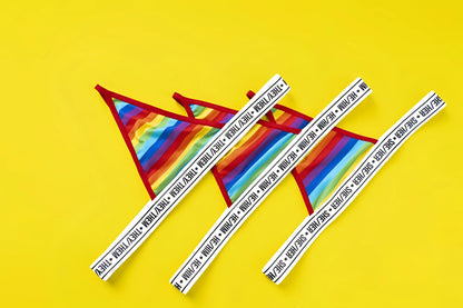 Mapale 123c rainbow thong featuring rainbow stripes red trim and white elastic waistband with repeating they thm text
