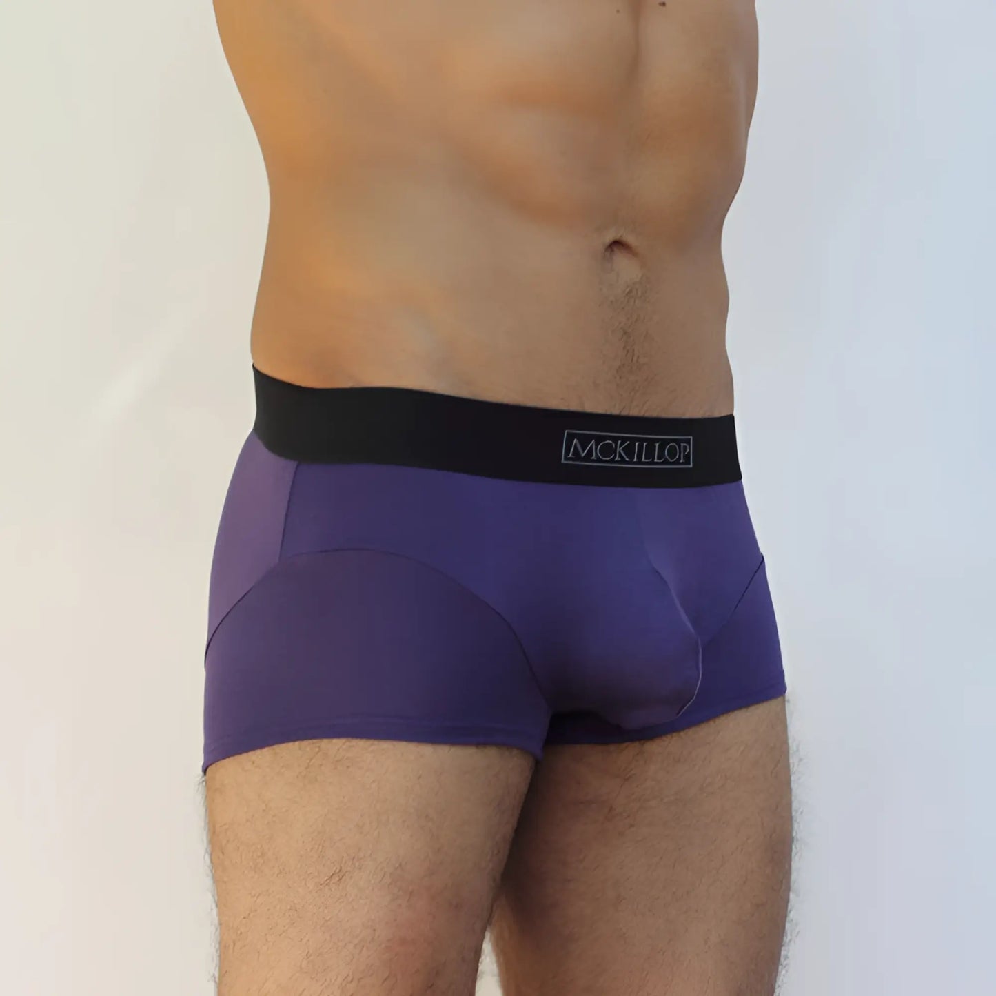 Purple eggplant mcKillop jagger modal boxer briefs with black waistband and white logo size small front view