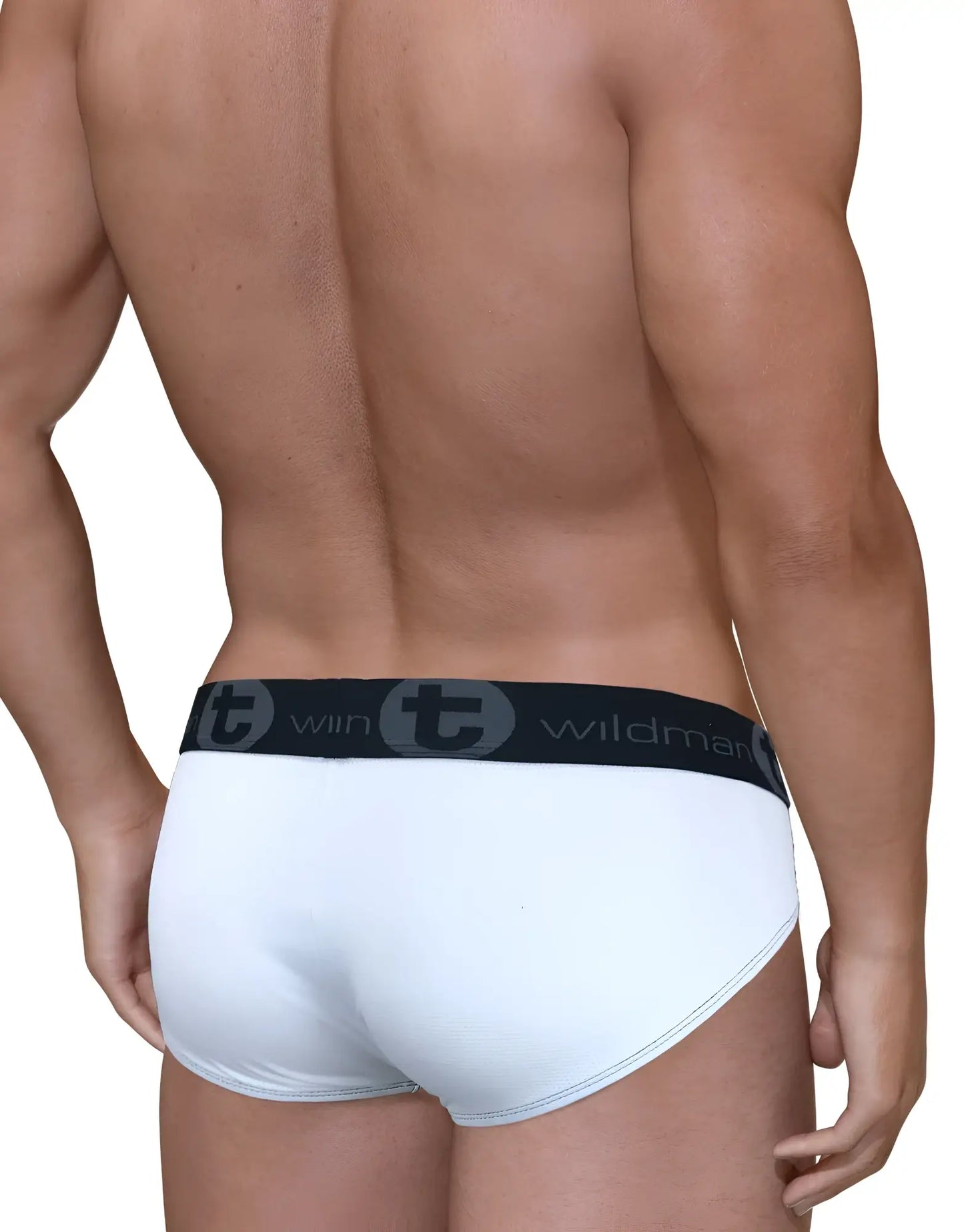 White mesh big boy pouch briefs with black wildman waistband and stylized t emblem for men