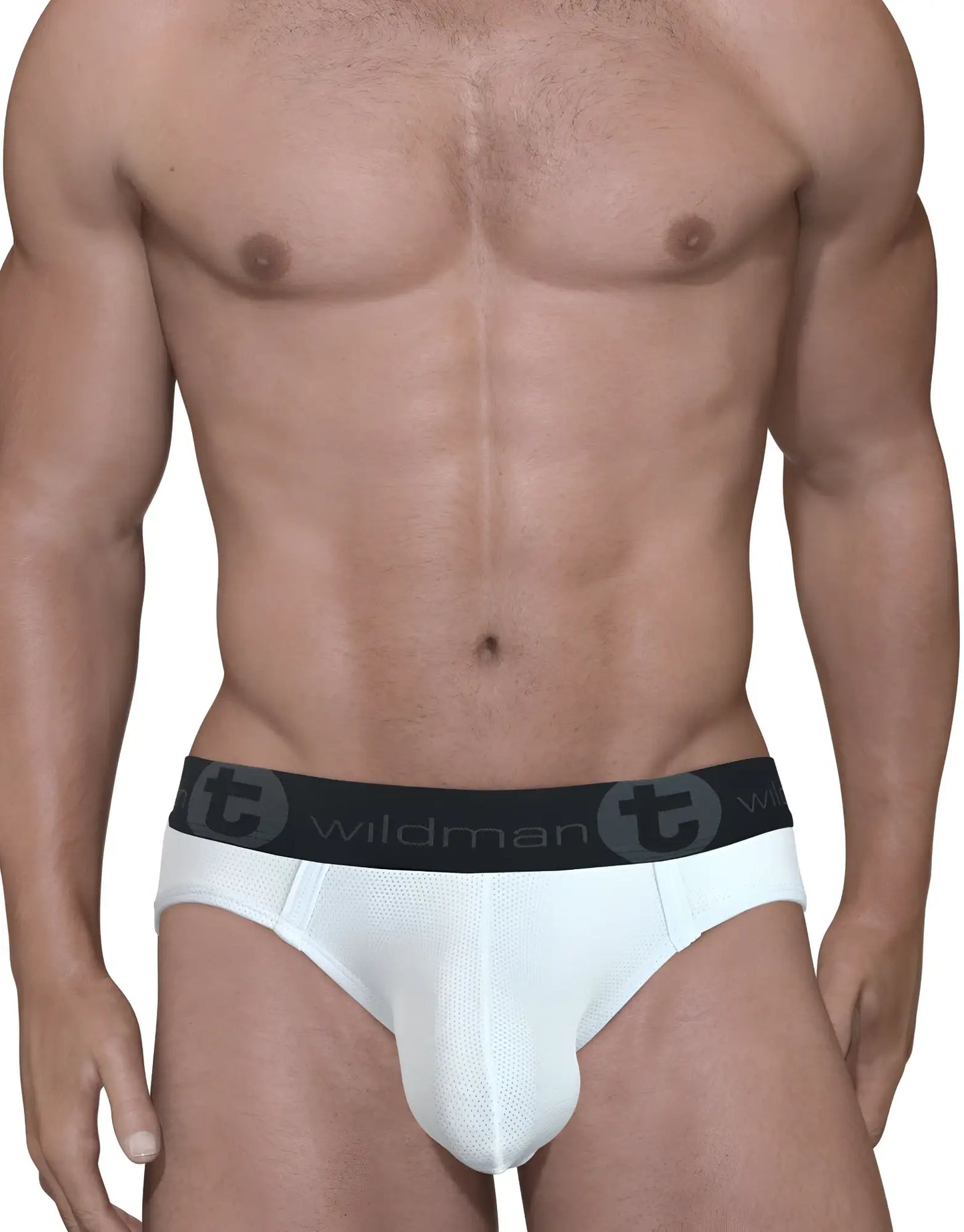 White mens mesh big boy pouch briefs with black elastic waistband featuring wildman brand logo and circular t emblem