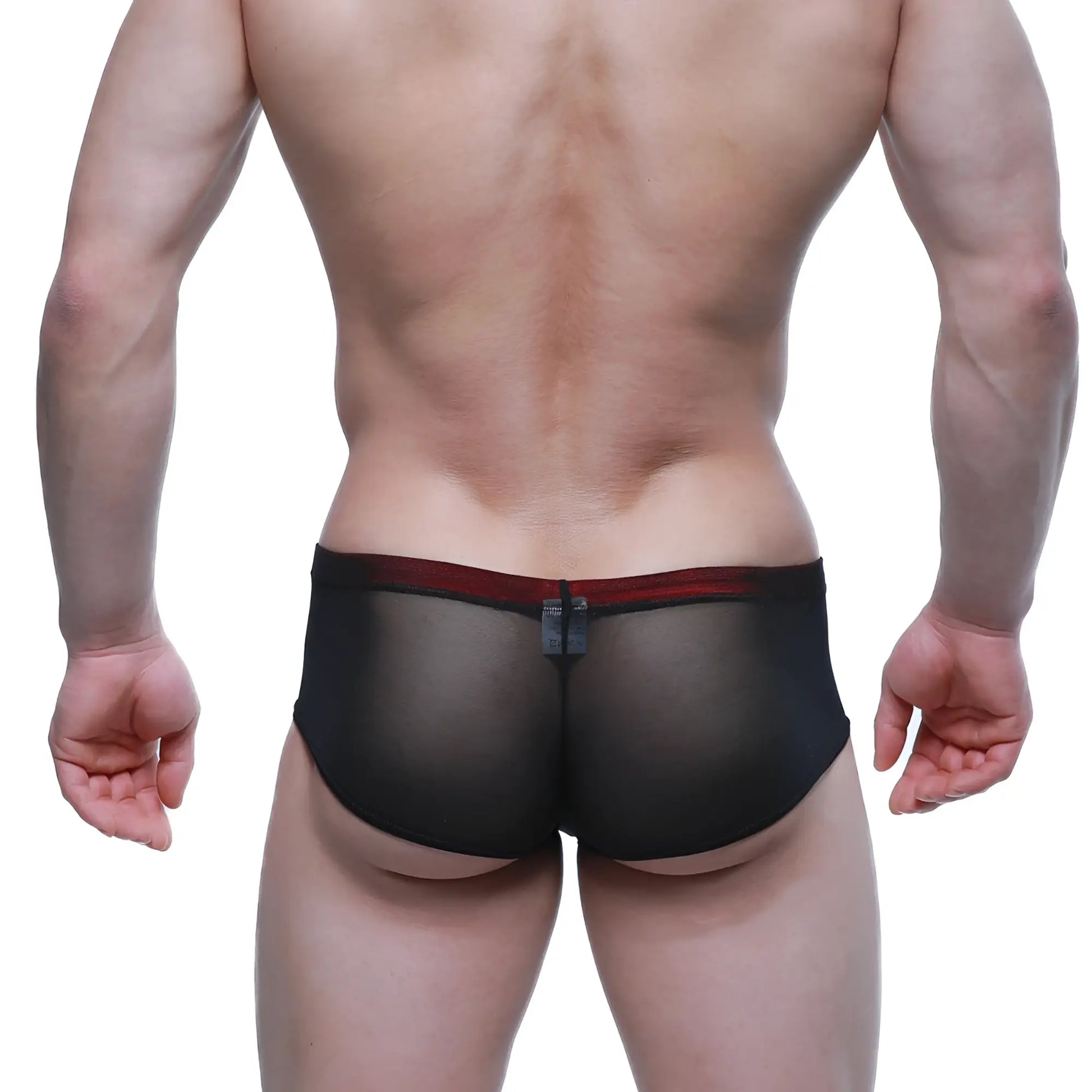 Black sheer mesh briefs with red waistband by metromalewear cheek patron 2028-71 visible from the front