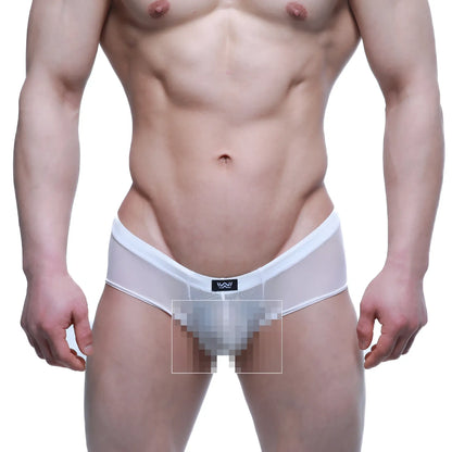 White mesh briefs with black logo waistband from metromalewear cheek white mesh 2028-69 product image