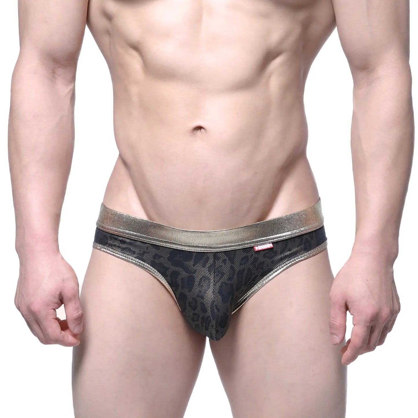 MetroMaleWear gloss bikini gold 2803-50 black leopard print mesh briefs with metallic gold waistband front view