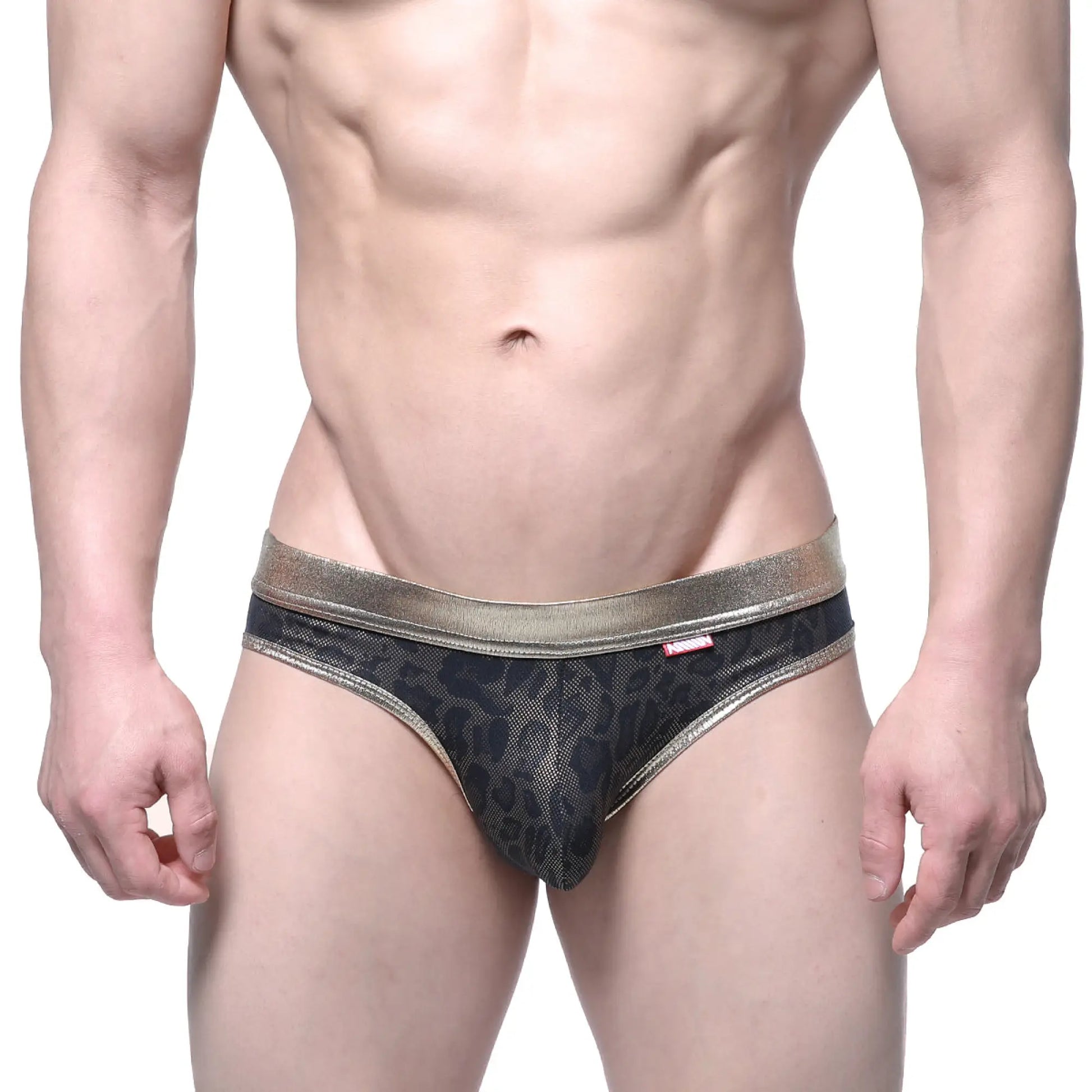 MetroMaleWear gloss bikini gold 2803-50 black leopard print mesh briefs with metallic gold waistband front view
