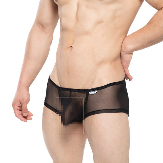 MetroMaleWear HONGOS trunk black sheer mesh briefs with solid black waistband and trim front view