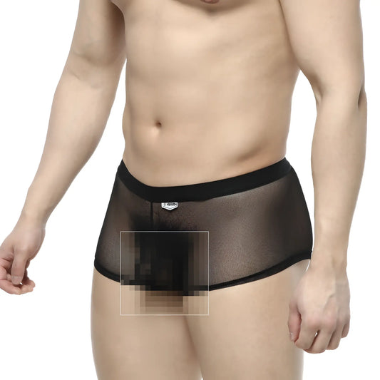 MetroMaleWear simple trunk black 1033-20 mesh briefs with solid waistband and small front logo