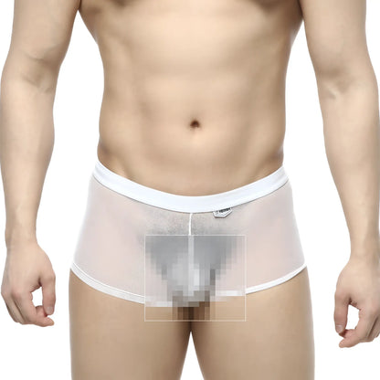 MetroMaleWear simple trunk white 1033-00 white mesh briefs with solid white waistband and trim