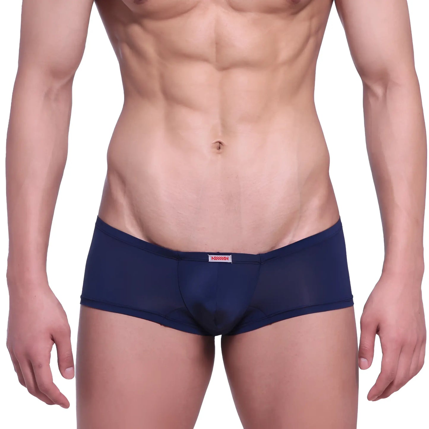 Navy blue sheer mesh briefs with red and white metro male wear brand tag at waistband product minimo boxer 2013-28