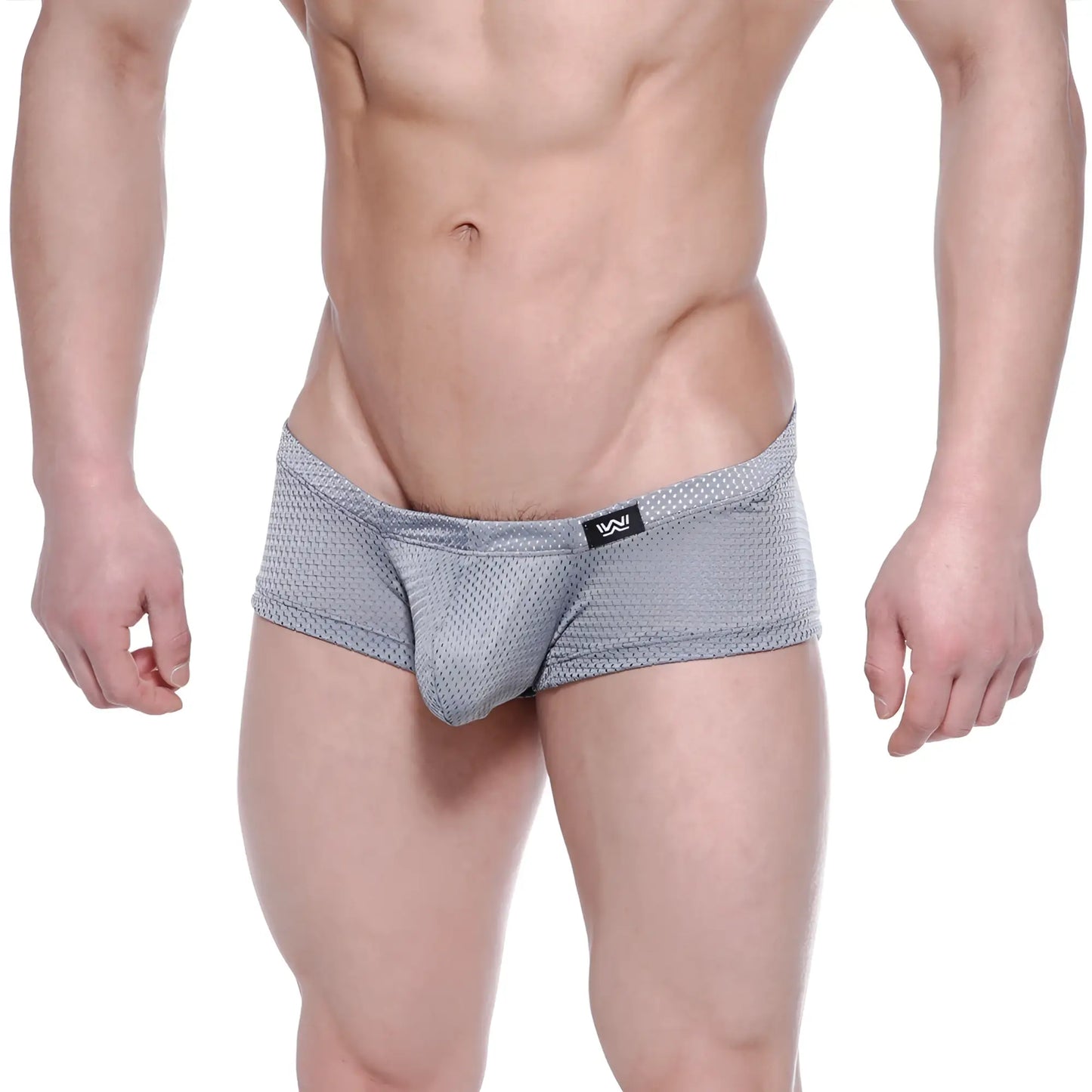 MetroMaleWear Oscar boxer gray mesh briefs with subtle dotted pattern and black logo on waistband front view