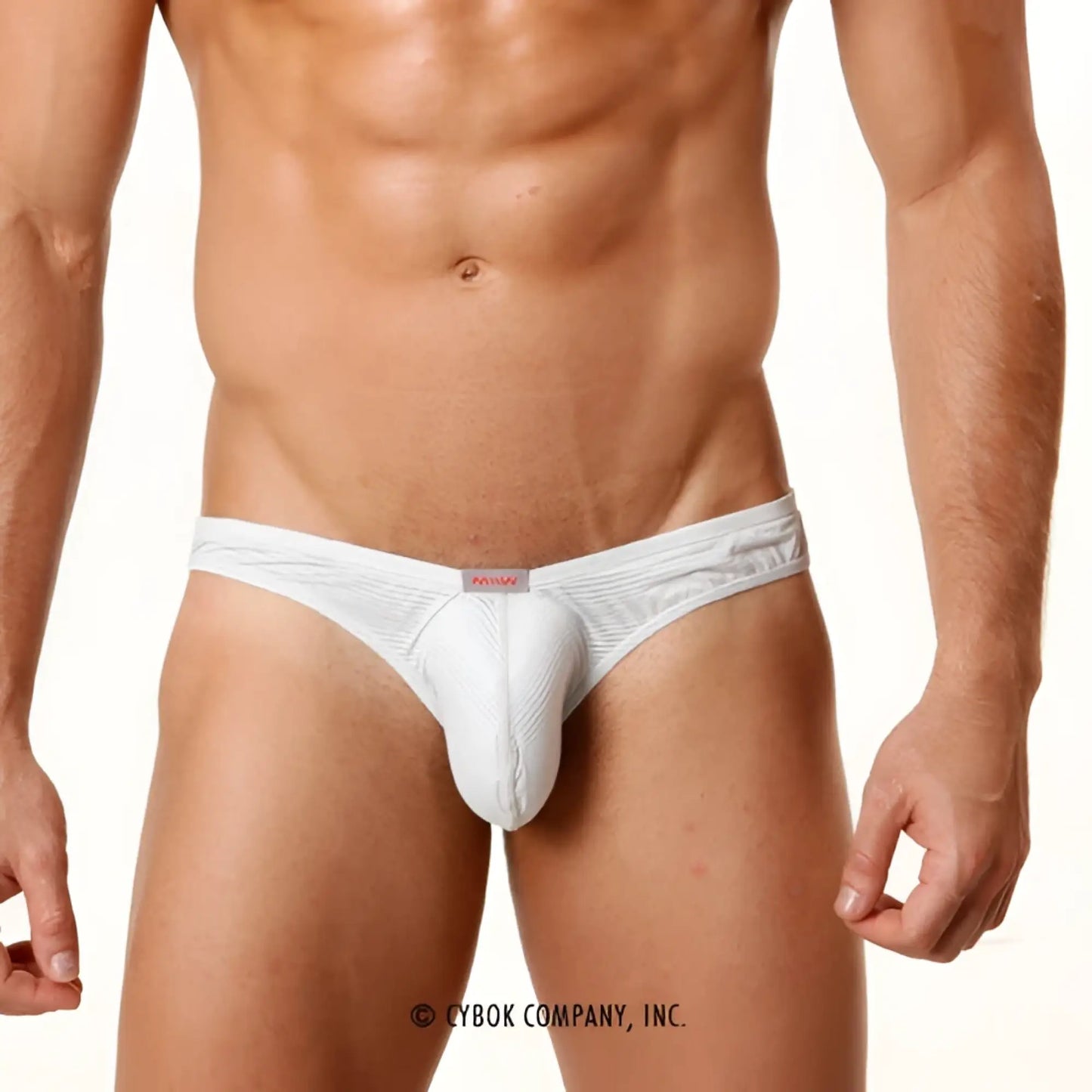 MetroMaleWear perfect scene askin bikini briefs in white textured fabric with subtle stripes and a small red brand tag