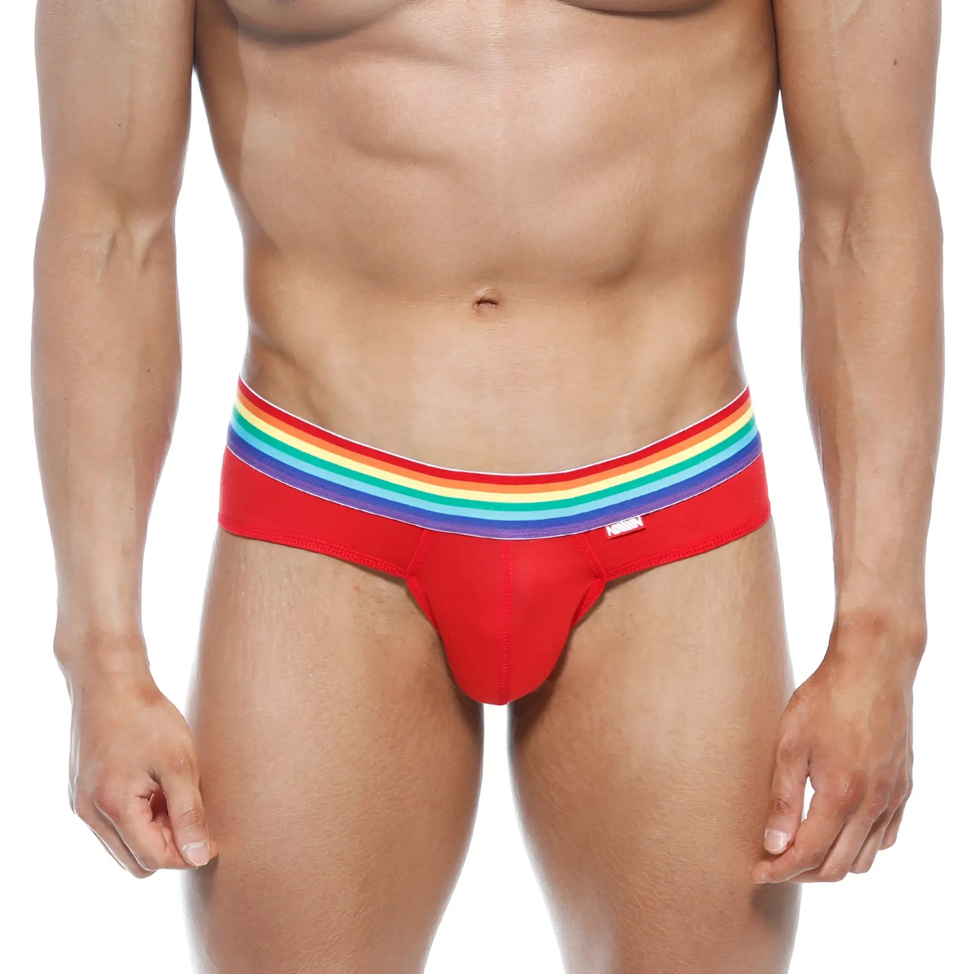 Red briefs with a rainbow-striped waistband from metromalewear pride brief red 5006-r12 collection