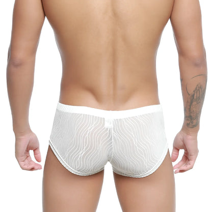 MetroMaleWear Sedosa trunk 2125-32 white sheer mesh briefs with subtle wavy pattern and solid waistband front view
