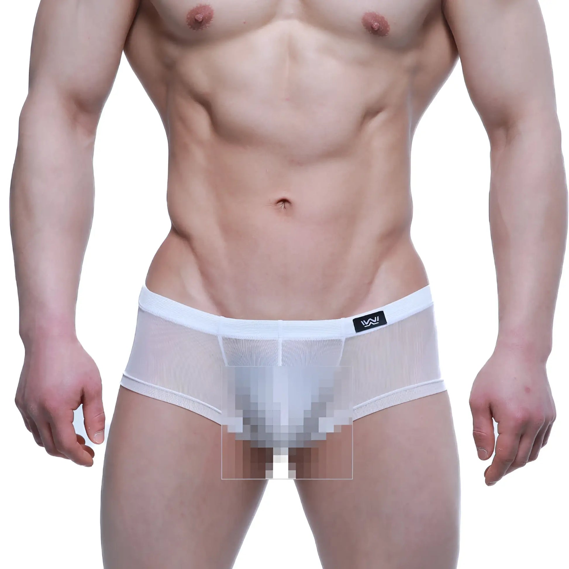 MetroMaleWear Tull Blanco trunk 2125-68 white mesh briefs with solid waistband and black logo on the left side