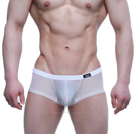 MetroMaleWear Tull Blanco trunk 2125-68 white mesh briefs with solid waistband and black logo on the left side