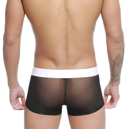 Black sheer mesh briefs with white elastic waistband metroMalewear tull trunk 2026-19 front view